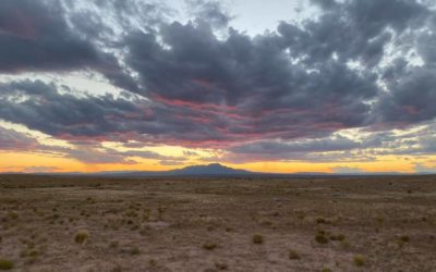 Enchanted New Mexico – A Scenic Stroll Through Desert