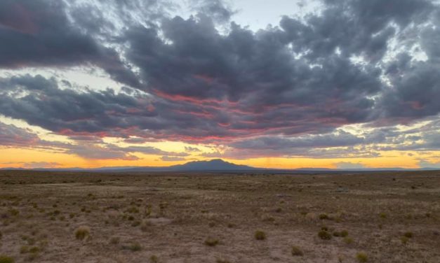 Enchanted New Mexico – A Scenic Stroll Through Desert