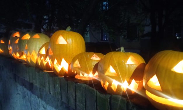 It’s Halloween – Jack O’Lanterns in Tirana, Albania